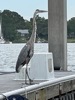 resIMG_20210602_171300_IMG_6781.jpg